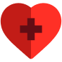 health icon